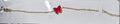 Butterfly Bracelet Gold & Silver Stainless Steel – Multi-Color - Angelique Boutique
