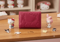 Hello Kitty Inspired Wallet – Spacious & Cute - Angelique Boutique