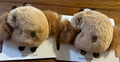 Capybara Hair Ties Set of 2 – Cute Animal Scrunchies